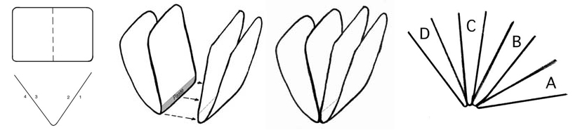 butterfly binding diagram