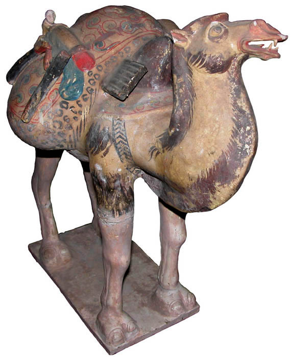 camel with monkey